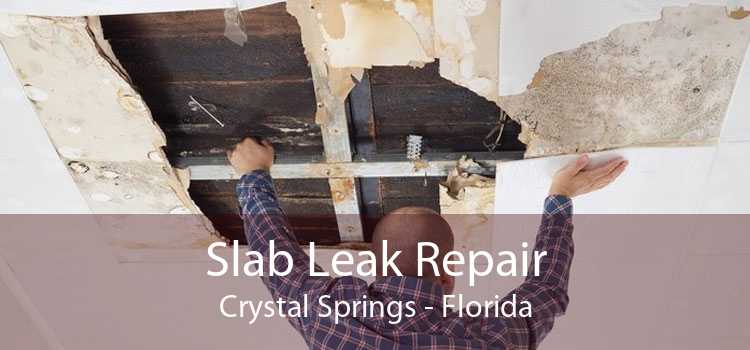 Slab Leak Repair Crystal Springs - Florida
