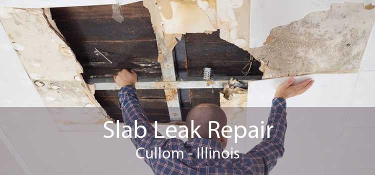 Slab Leak Repair Cullom - Illinois