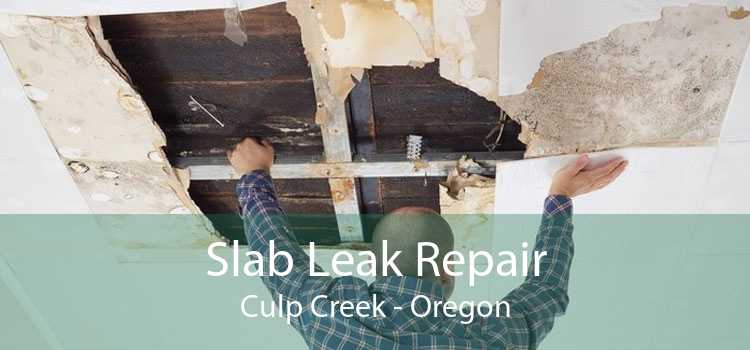 Slab Leak Repair Culp Creek - Oregon