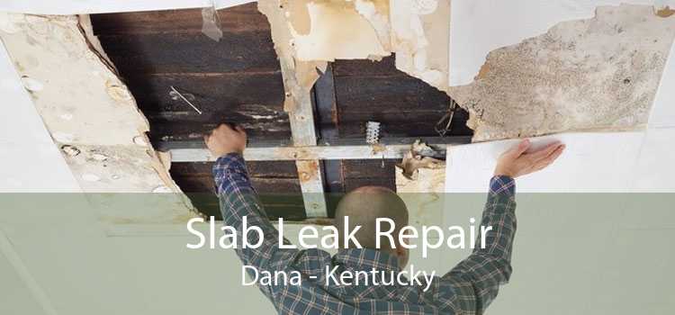 Slab Leak Repair Dana - Kentucky