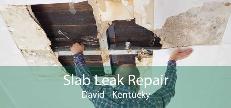 Slab Leak Repair David - Kentucky