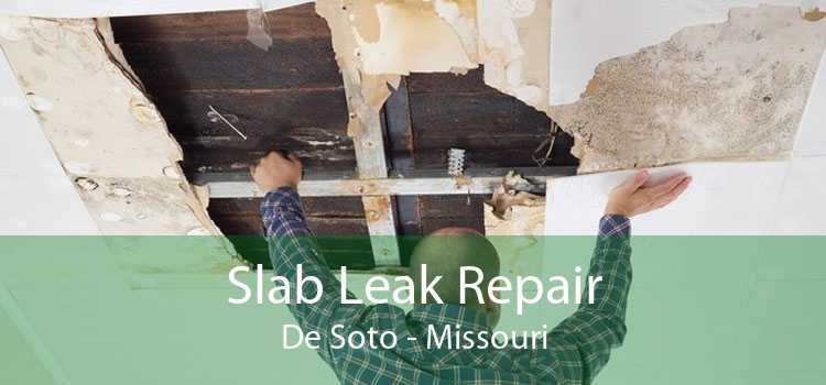 Slab Leak Repair De Soto - Missouri