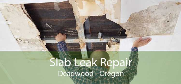 Slab Leak Repair Deadwood - Oregon