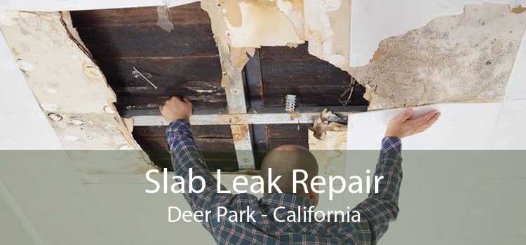 Slab Leak Repair Deer Park - California