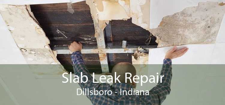 Slab Leak Repair Dillsboro - Indiana