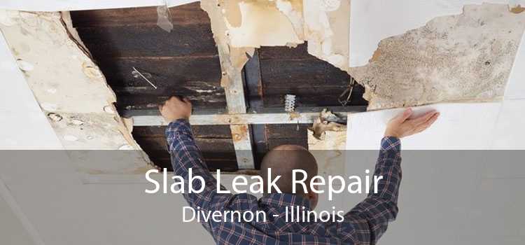 Slab Leak Repair Divernon - Illinois