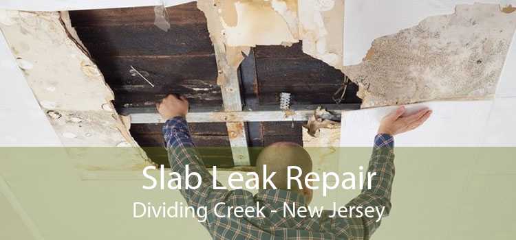 Slab Leak Repair Dividing Creek - New Jersey