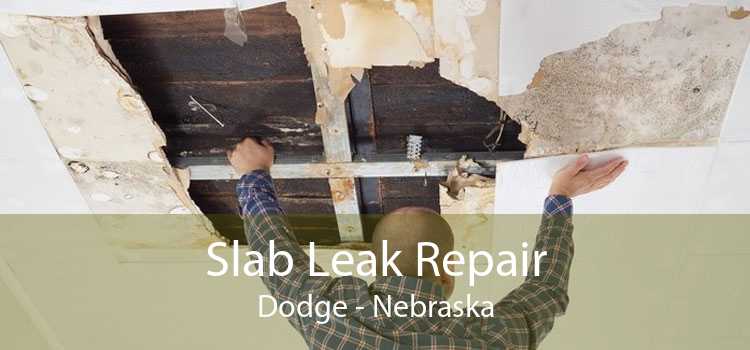 Slab Leak Repair Dodge - Nebraska