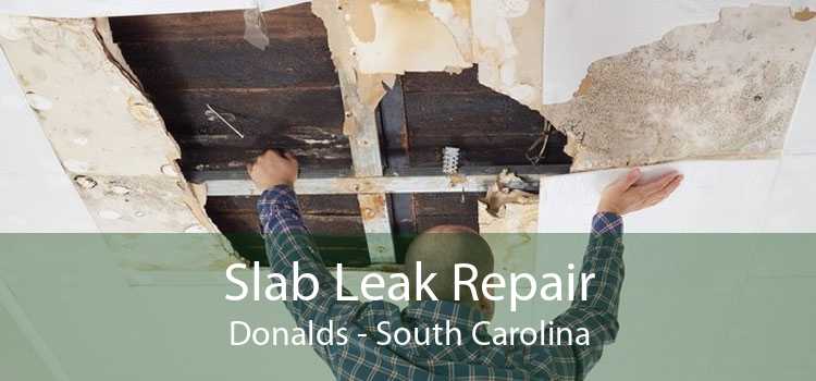 Slab Leak Repair Donalds - South Carolina