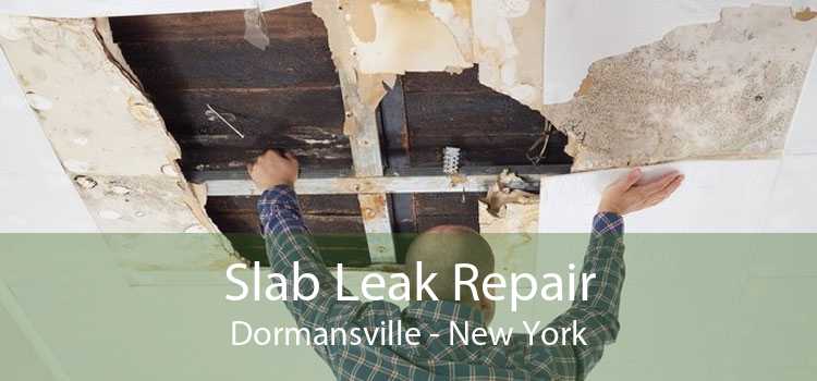 Slab Leak Repair Dormansville - New York