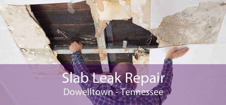 Slab Leak Repair Dowelltown - Tennessee