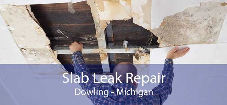 Slab Leak Repair Dowling - Michigan