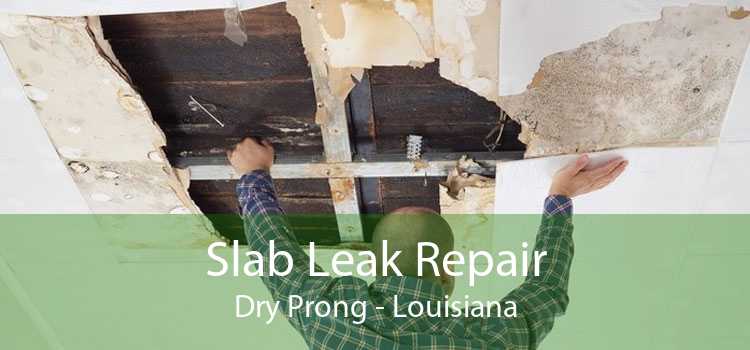 Slab Leak Repair Dry Prong - Louisiana