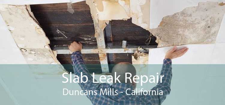 Slab Leak Repair Duncans Mills - California