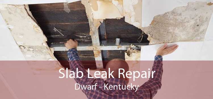 Slab Leak Repair Dwarf - Kentucky