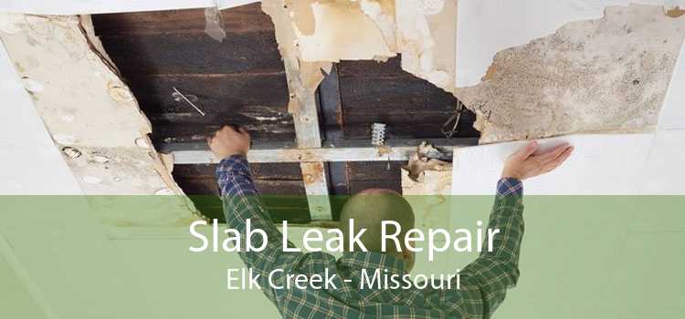 Slab Leak Repair Elk Creek - Missouri