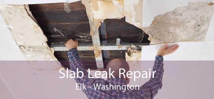 Slab Leak Repair Elk - Washington