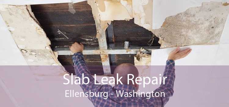 Slab Leak Repair Ellensburg - Washington
