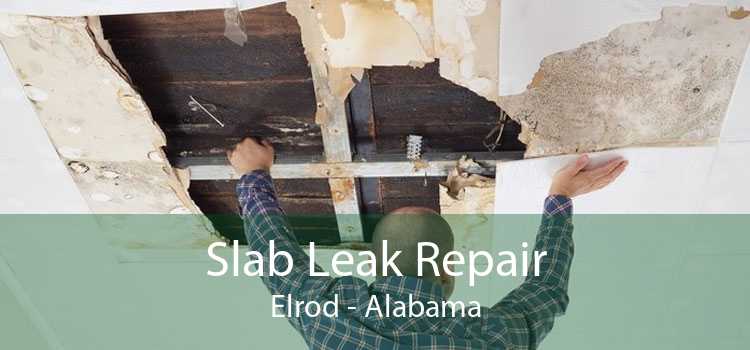 Slab Leak Repair Elrod - Alabama