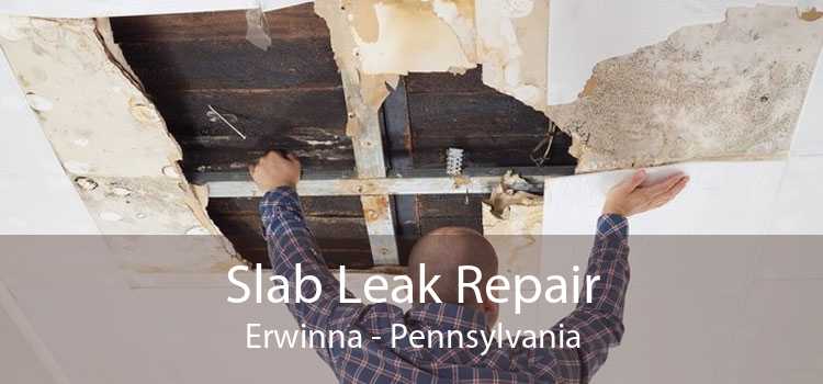 Slab Leak Repair Erwinna - Pennsylvania