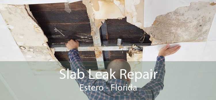 Slab Leak Repair Estero - Florida