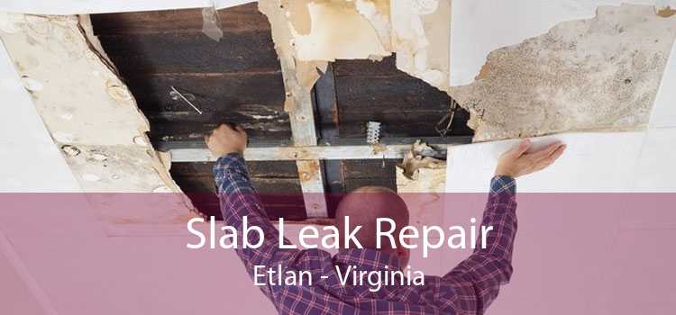 Slab Leak Repair Etlan - Virginia