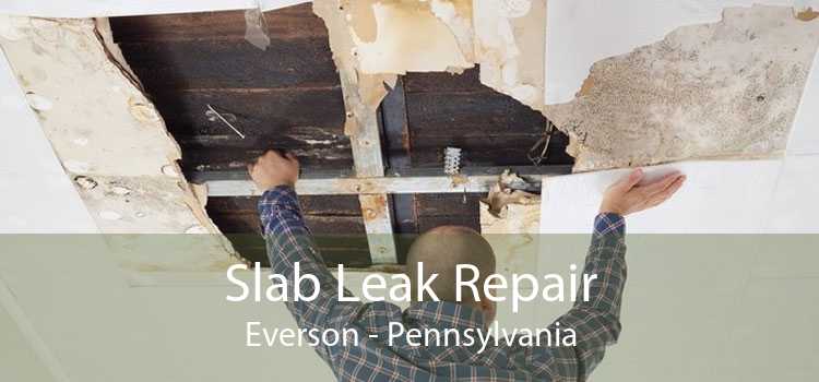 Slab Leak Repair Everson - Pennsylvania