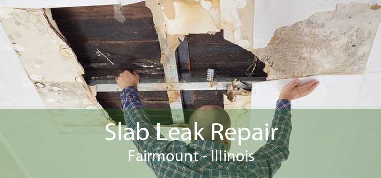 Slab Leak Repair Fairmount - Illinois
