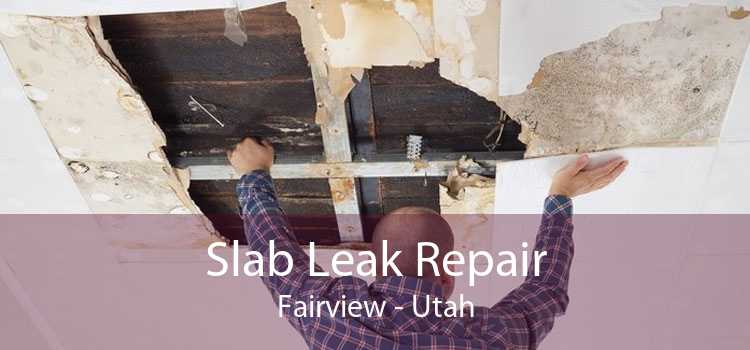Slab Leak Repair Fairview - Utah