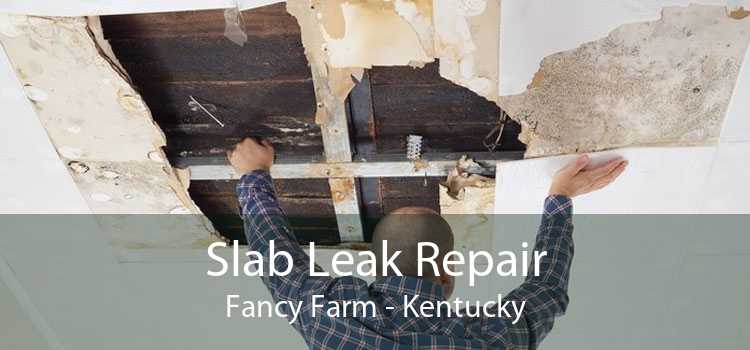 Slab Leak Repair Fancy Farm - Kentucky