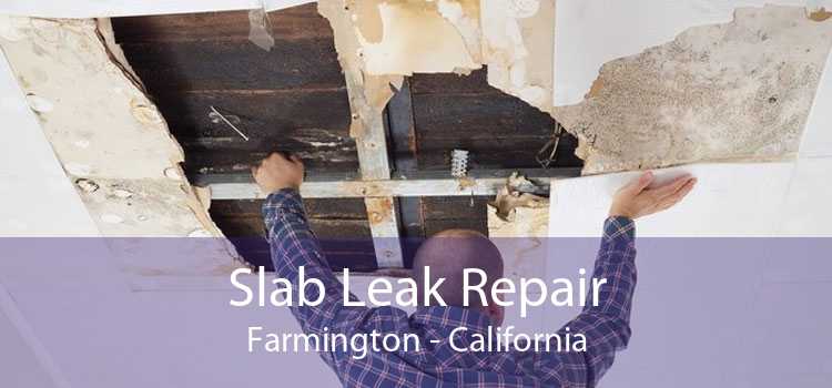 Slab Leak Repair Farmington - California