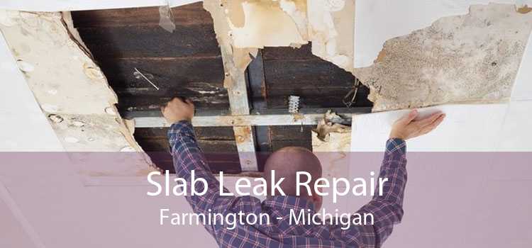 Slab Leak Repair Farmington - Michigan