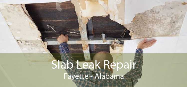 Slab Leak Repair Fayette - Alabama