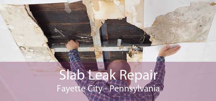 Slab Leak Repair Fayette City - Pennsylvania