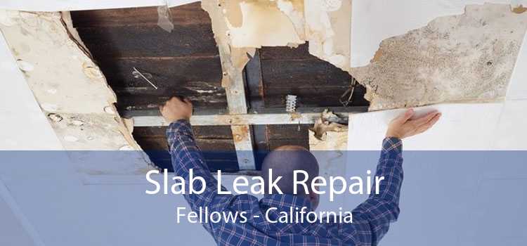 Slab Leak Repair Fellows - California