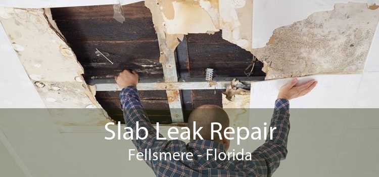 Slab Leak Repair Fellsmere - Florida