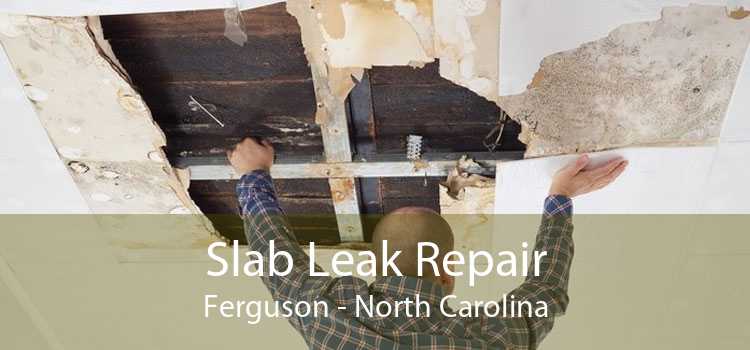 Slab Leak Repair Ferguson - North Carolina