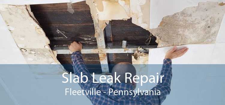 Slab Leak Repair Fleetville - Pennsylvania