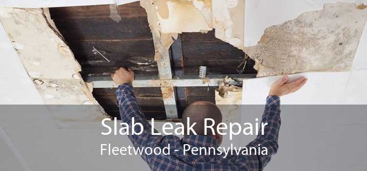 Slab Leak Repair Fleetwood - Pennsylvania
