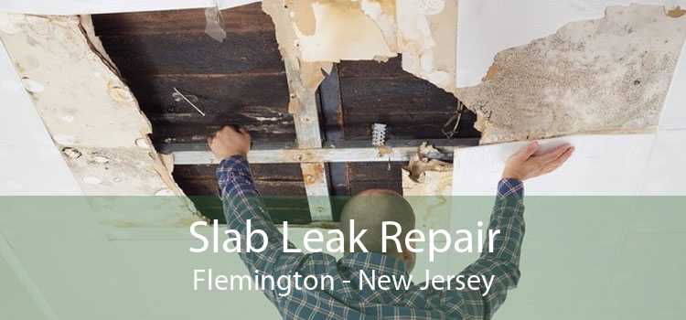 Slab Leak Repair Flemington - New Jersey