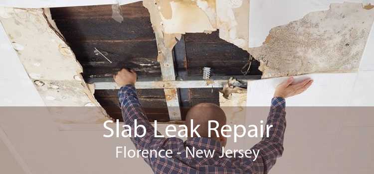 Slab Leak Repair Florence - New Jersey