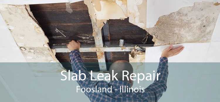 Slab Leak Repair Foosland - Illinois
