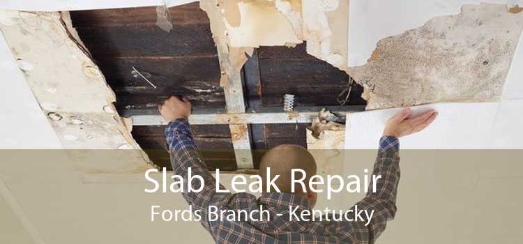 Slab Leak Repair Fords Branch - Kentucky