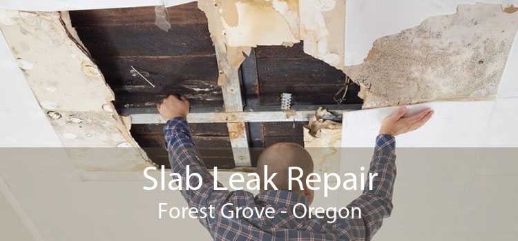 Slab Leak Repair Forest Grove - Oregon
