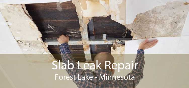 Slab Leak Repair Forest Lake - Minnesota