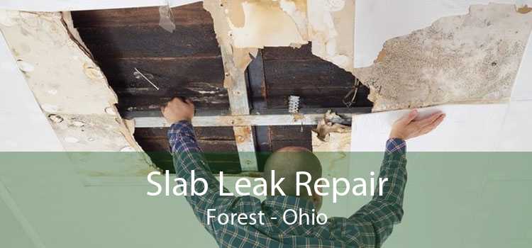 Slab Leak Repair Forest - Ohio