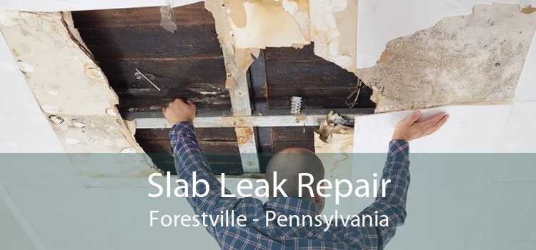 Slab Leak Repair Forestville - Pennsylvania