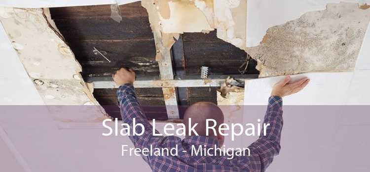 Slab Leak Repair Freeland - Michigan