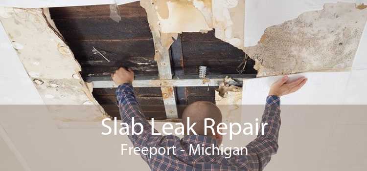 Slab Leak Repair Freeport - Michigan