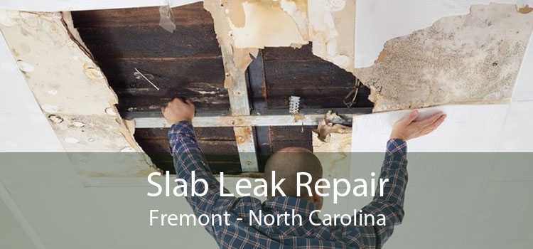 Slab Leak Repair Fremont - North Carolina